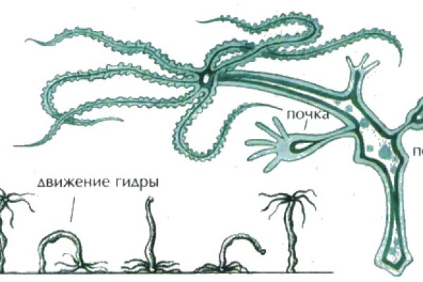 Скачать кракен тор