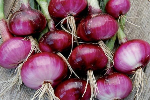 Kraken tor onion зеркало