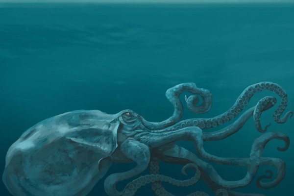 Kraken торговая площадка ссылка