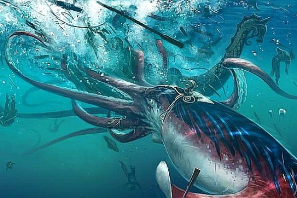 Kraken 20at net
