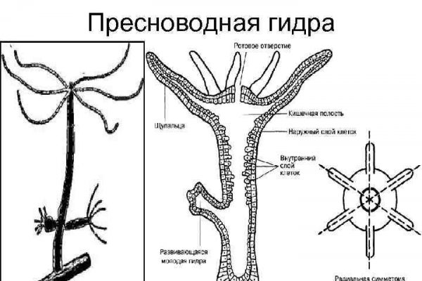 Кракен вход рабочий