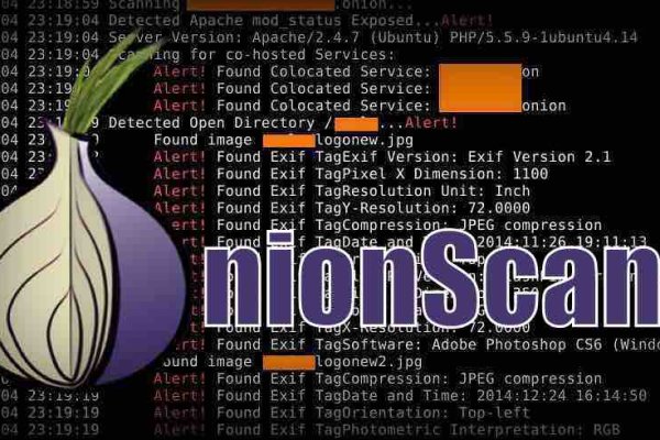 Kraken tor link