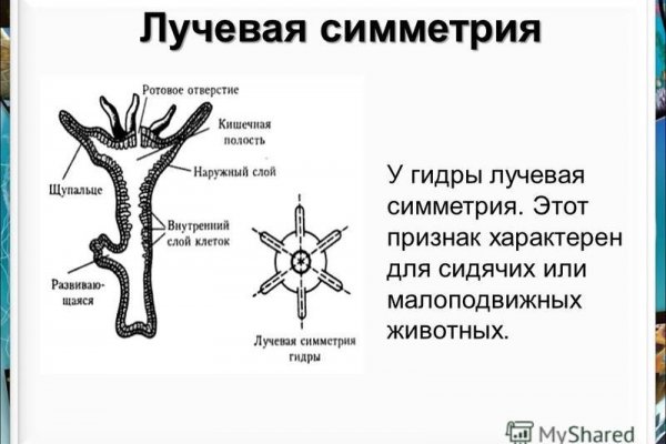 Кракен тор