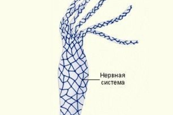 Kraken19 at