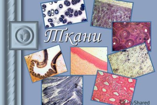 Официальная ссылка на кракен в тор