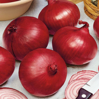 Kraken onion сайта